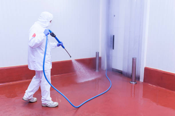 Best Warehouse Cleaning  in Sherwood, OR